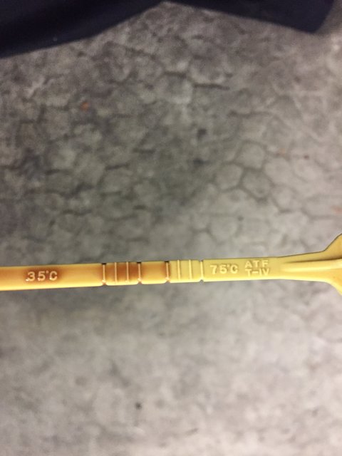 IMG_3315.JPG (1.2 Mio) Vu 19662 fois IMG_3315.JPG