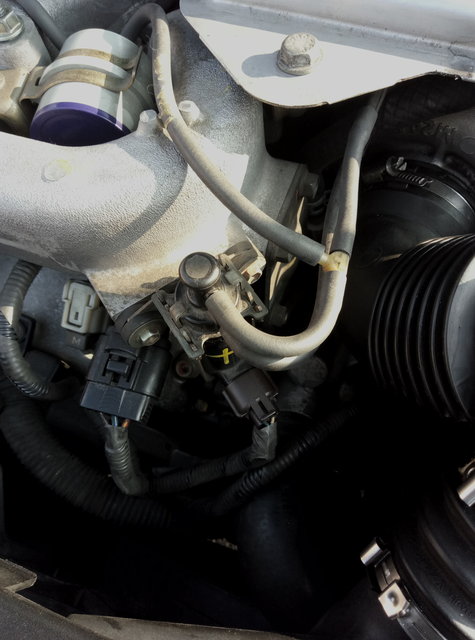 P80515-183512.jpg (3.17 Mio) Vu 7516 fois P80515-183512.jpg