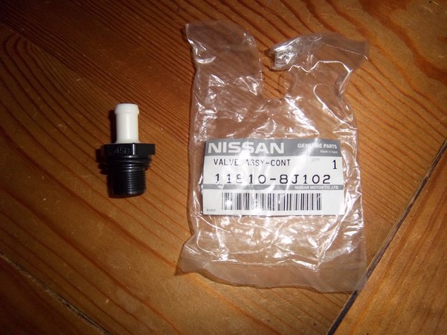 IMGP5243.JPG
