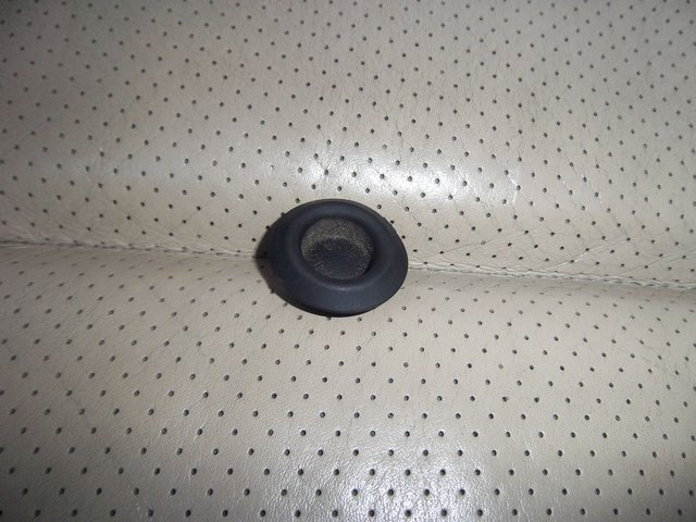 IMGP5414.JPG