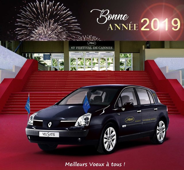 Bonne Année 2019 Vel Satis.jpg
