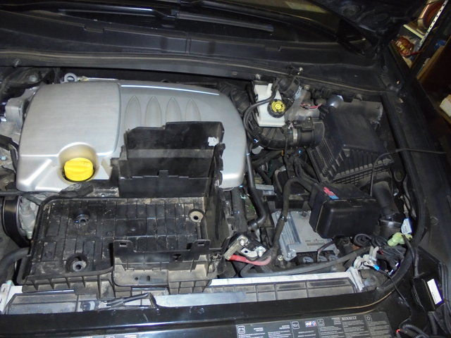 DSC08847.JPG