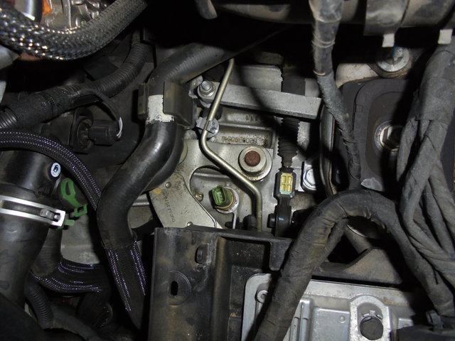 DSC08846.JPG