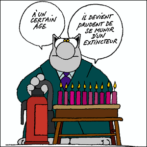 Anniv le chat.gif