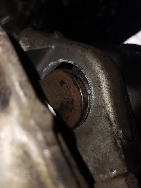 IMG_20210519_160950.jpg (3.07 Mio) Vu 1316 fois IMG_20210519_160950.jpg