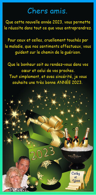 Bonne année 2023 velsatis.jpg