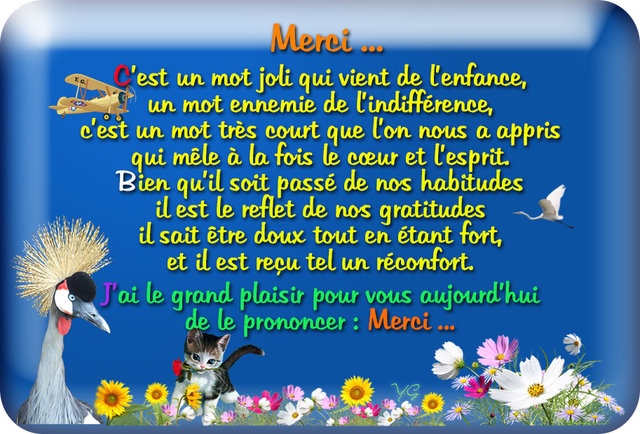 Merci6.jpg