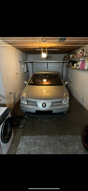 IMG_2071.jpeg