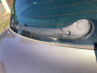IMG_6110.jpeg