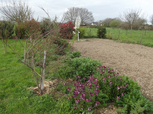 DSCF5483.JPG