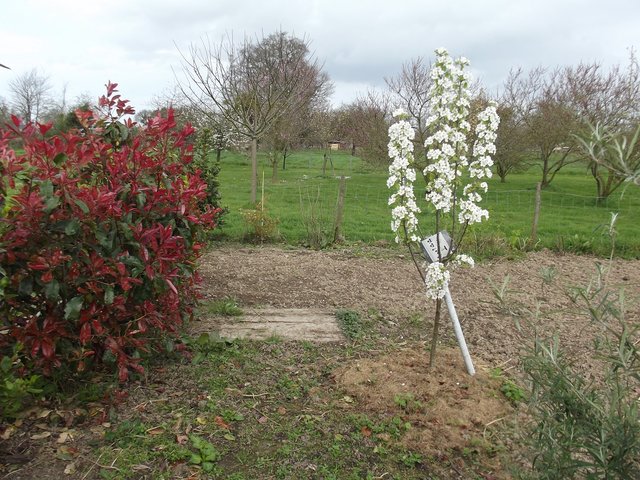 DSCF5485.JPG