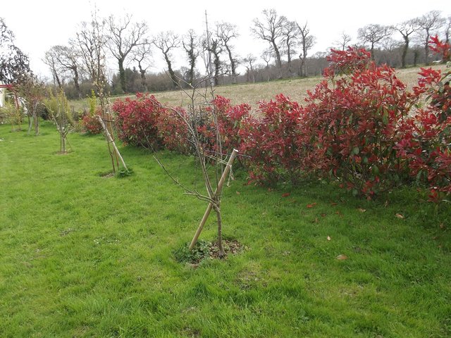 DSCF5486.JPG