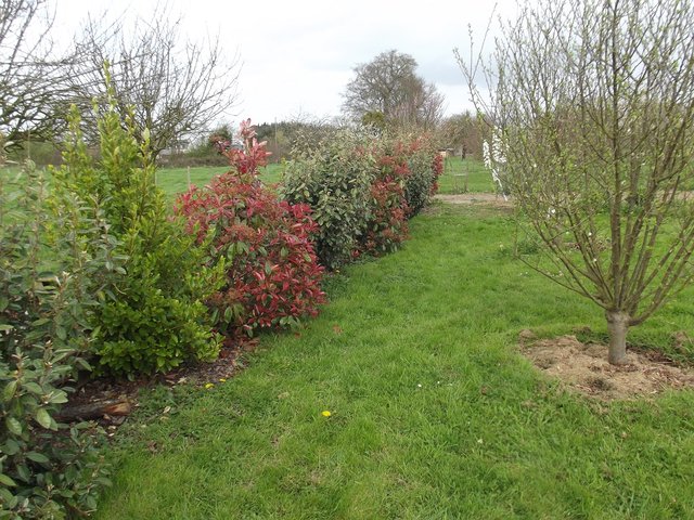 DSCF5487.JPG