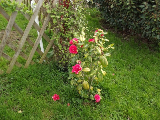 DSCF5488.JPG