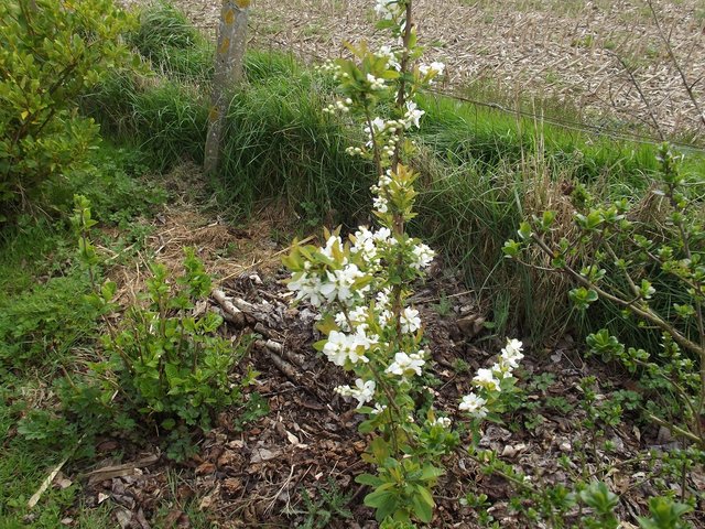 DSCF5489.JPG