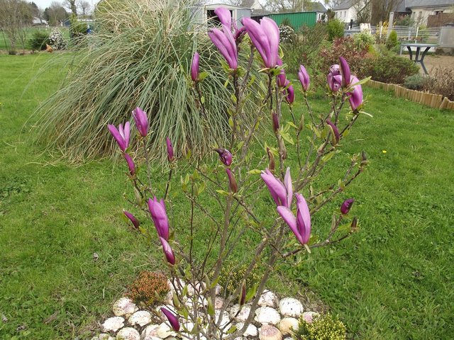 DSCF5490.JPG