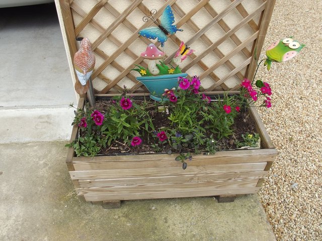 DSCF5493.JPG