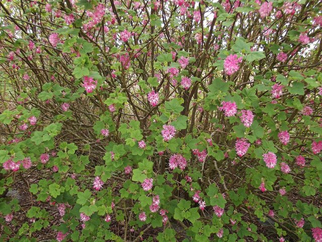 DSCF5497.JPG