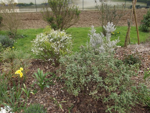 DSCF5502.JPG