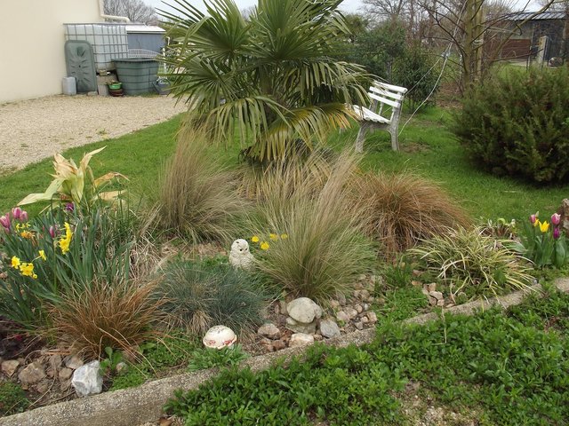 DSCF5503.JPG