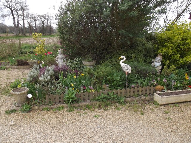 DSCF5504.JPG