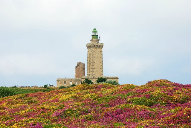 PI17291-hr.jpg